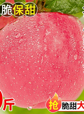正宗陕西洛川苹果水果新鲜当季整箱冰糖心红富士平果脆甜10斤