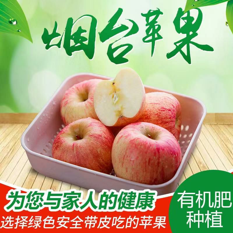 新鲜山东烟台苹果脆甜多汁红富士孕妇水果有机肥苹果整箱10斤包邮