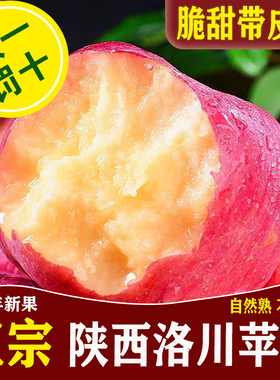 洛川苹果陕西正宗脆甜红富士新鲜水果孕妇当季一级冰糖心10斤整箱