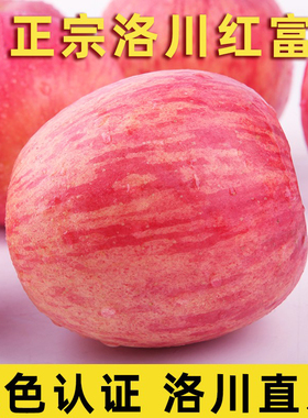 陕西洛川苹果红富士苹果水果一级当季新鲜整箱10斤24枚75mm品质果