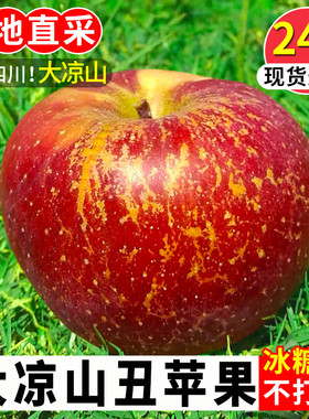 大凉山丑苹果新鲜水果当季整箱10斤包邮四川盐源红富士冰糖心苹果