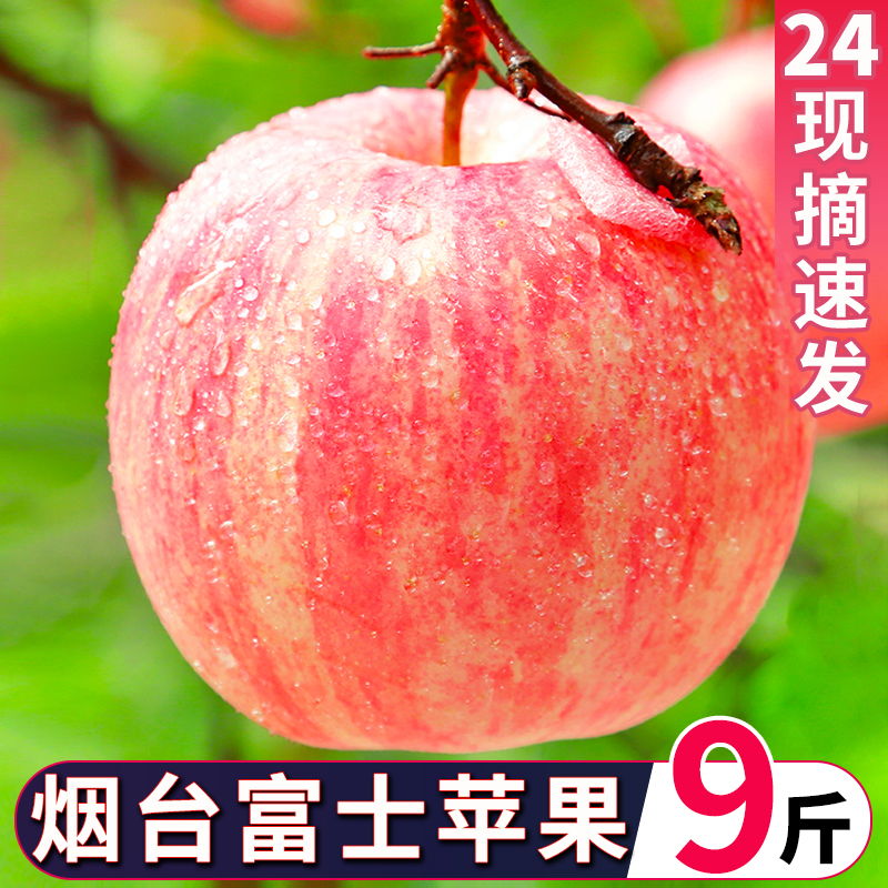山东烟台红富士10斤苹果水果新鲜整箱包邮应当季冰糖心栖霞脆平果