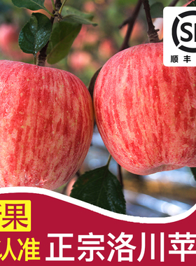 【顺丰快递】正宗陕西洛川苹果红富士10斤新鲜当季孕妇水果脆甜