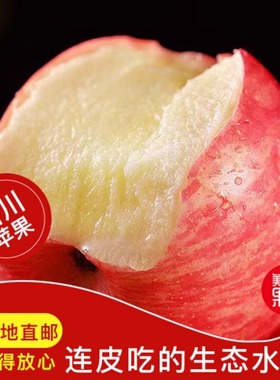 正宗陕西洛川红富士苹果5斤/10斤新鲜水果当季苹果冰糖心整箱包邮