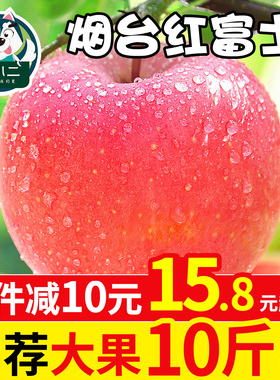 苹果水果新鲜当季整箱山东烟台红富士应季冰糖心丑苹果平果10斤装