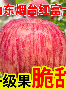 烟台红富士栖霞苹果水果整箱10斤装一级新鲜冰糖心当季脆丑平果