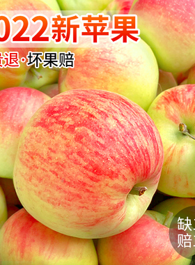 苹果水果新鲜当季整箱10斤装陕西红富士平果脆甜冰糖心嘎啦丑萍果