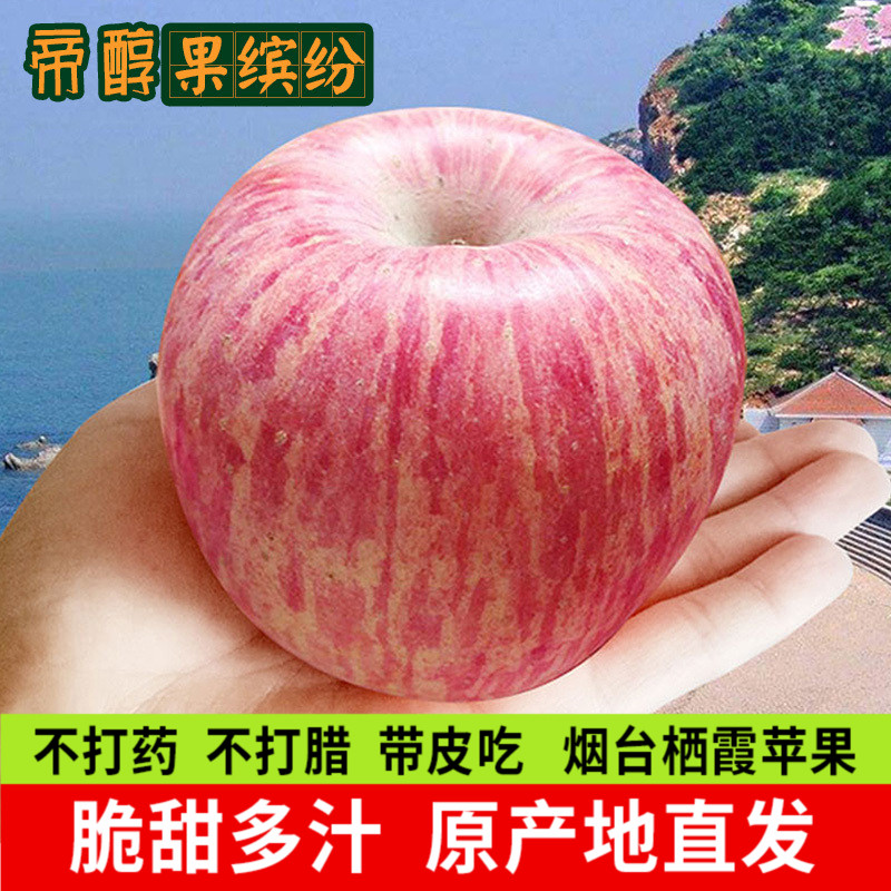 山东烟台苹果水果新鲜10斤装栖霞红富士整箱包邮当季吃的萍果平果