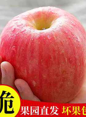 苹果10斤装新鲜水果当季整箱脆甜粉面刮平果孕妇婴儿老人红富士