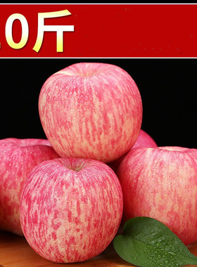 脆甜苹果山东烟台栖霞红富士水果新鲜当季带一整箱十斤装10丑平果