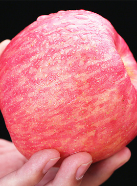 脆甜苹果山东烟台栖霞红富士水果新鲜当季带一整箱十斤装10丑平果