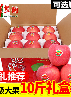 山东烟台红富士苹果10斤箱特级新鲜水果当季礼盒装送礼大平果特产