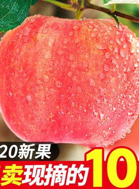 苹果水果新鲜当季整箱10斤装陕西红富士应季平果脆甜冰糖心丑萍果