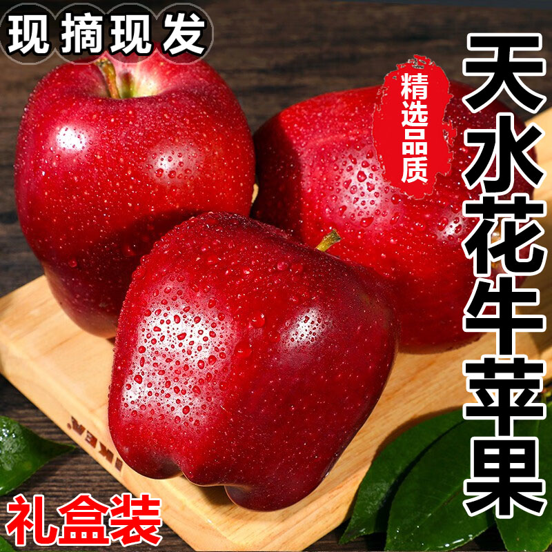 甘肃天水花牛苹果10斤新鲜水果当季礼盒装粉面红蛇平果整箱包邮