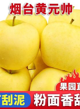 苹果水果烟台黄金帅10斤装黄元帅新鲜当季整箱黄香蕉甜粉面刮平果