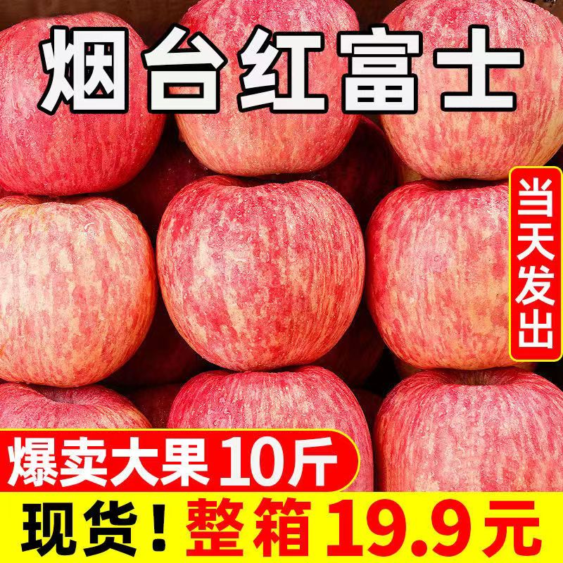 山东烟台红富士苹果新鲜水果当季整箱冰糖心丑平果10斤装栖霞应季