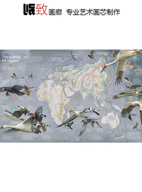 自然迁徙 国家地理动物自然科学科普海报 客厅儿童房书房装饰画芯