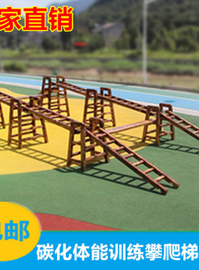 大型碳化体能训练攀爬梯组合教具幼儿园户外活动感统平衡训练器材