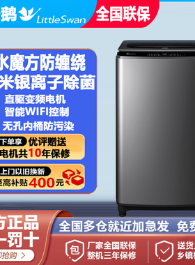 Littleswan/小天鹅 TB100VT98WADCLG-T01洗衣机波轮10公斤水魔方