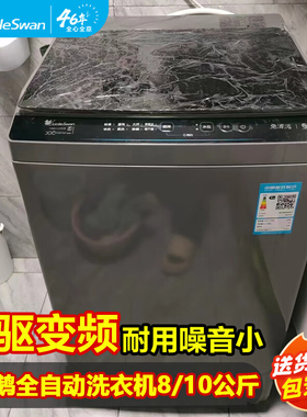 小天鹅10公斤大容量波轮洗衣机变频全自动8kg出租房家用官方正品