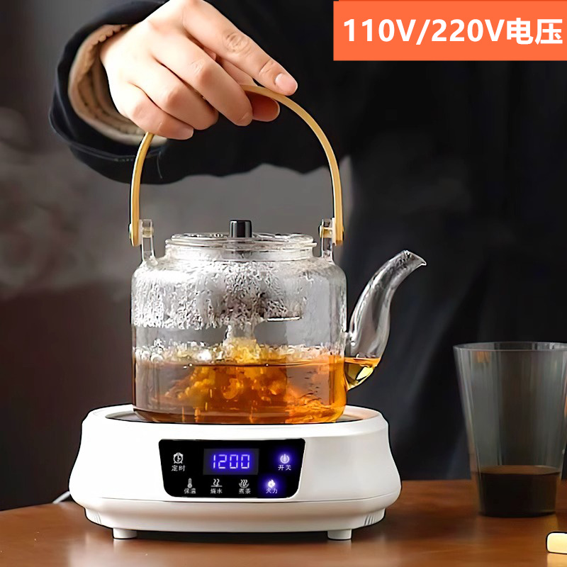 出口110v伏电陶炉美国日本迷你煮茶器电热茶炉烧水壶小家电器