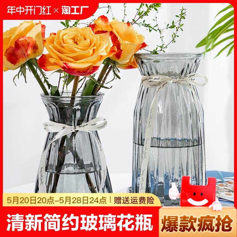 两件套玻璃花瓶水培鲜花富贵竹水养植物插花瓶客厅装饰台面家居