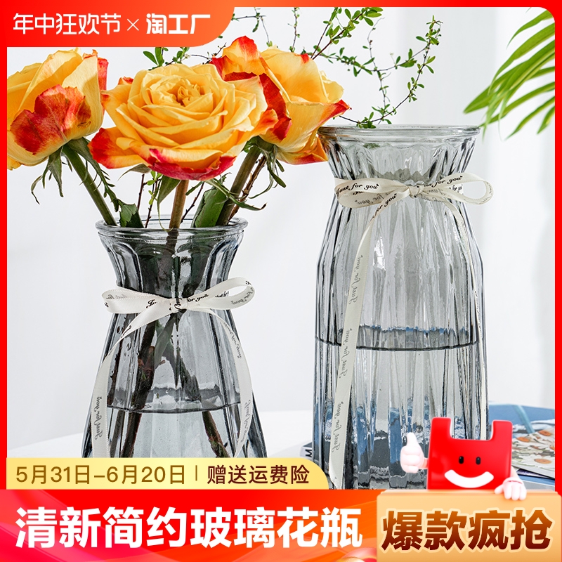 两件套玻璃花瓶水培鲜花富贵竹水养植物插花瓶客厅装饰台面家居