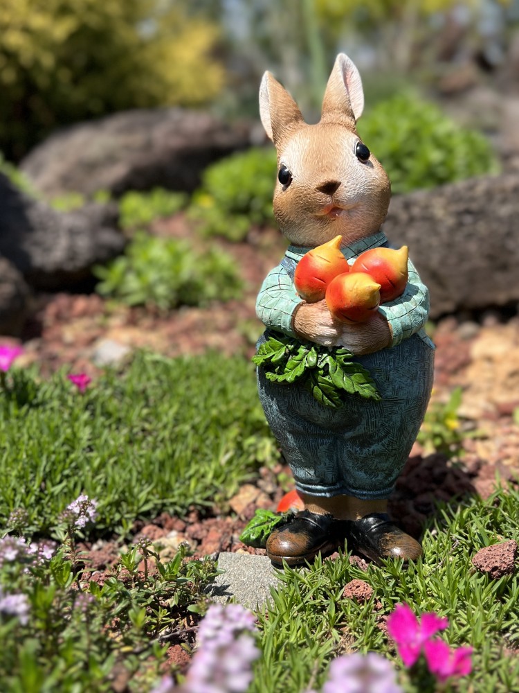 美式乡村小兔子拔萝卜树脂摆件花园庭院阳台装饰幼儿园布置摆设