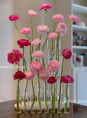 知否家居试管花瓶折叠玻璃网红ins水培花器透明一排花瓶鲜花摆件