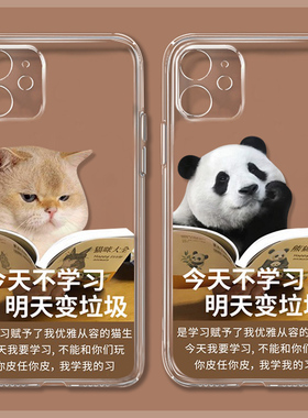 情侣学习猫猫适用于iPhone15Promax苹果14/13小米12华为nova11可爱OPPOReno8创意vivo趣味搞怪plus透明手机壳