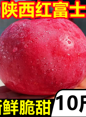 陕西红富士脆甜苹果10斤新鲜水果应当季冰糖心丑苹果当季整箱批发
