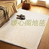 促销可水洗不掉毛 欧式丝毛加厚地毯客厅卧室床边地毯 包邮可定做