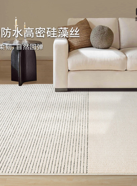 圣瓦伦丁客厅地毯防水防污抑菌硅藻丝卧室床边毯法式轻奢高级地毯