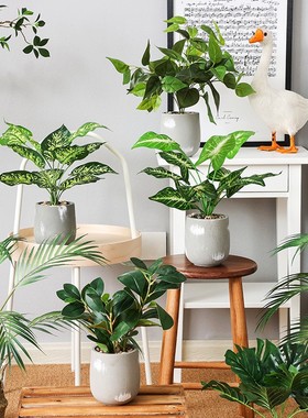 仿真绿植物小盆栽办公室桌面摆设龟背假植物装饰假花客厅摆件
