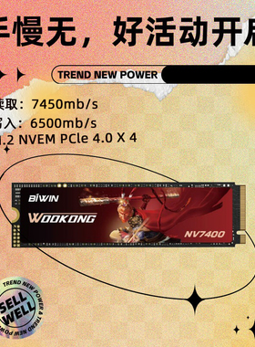 佰维悟空NV7400 2T m.2固态硬盘1T台式机笔记本PS5扩容SSD 512GB