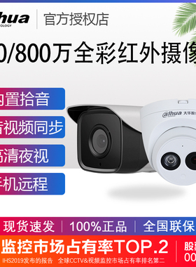 大华200/400/800POE网络摄像头室内外高清监控红外全彩家用摄影机