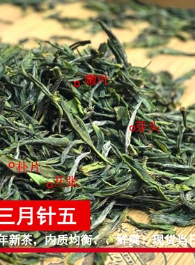 【针五】永川秀芽绿茶2024新茶叶明前春茶特级/重庆永荣茶厂/半斤