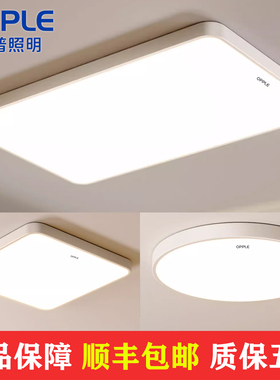 欧照明led吸顶灯2024年防虫客厅大灯大气家用极简主卧室吊灯具