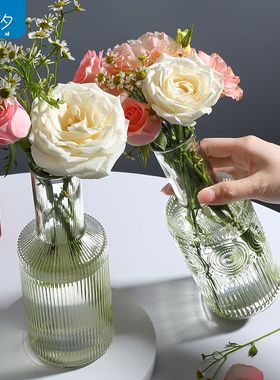 简约透明玻璃小口径花瓶大肚客厅摆件ins高颜值水养插花居家装饰