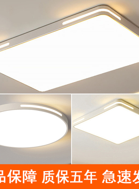欧照明防虫护眼LED吸顶灯薄5cm客厅灯家用遥控卧室灯主灯餐厅灯