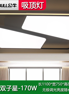 公牛X22双子星长方形客厅无极调光简约现代家用卧室餐厅LED吸顶灯