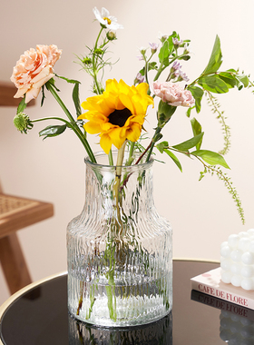 高级感网红花瓶摆件客厅浮雕ins风玻璃透明水养玫瑰插花居家装饰