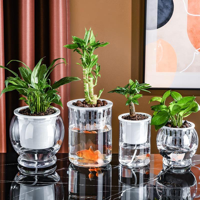 塑料水培水植物花瓶居家装饰蝴蝶兰绿萝盆桌面小尺寸种植盆多肉盆
