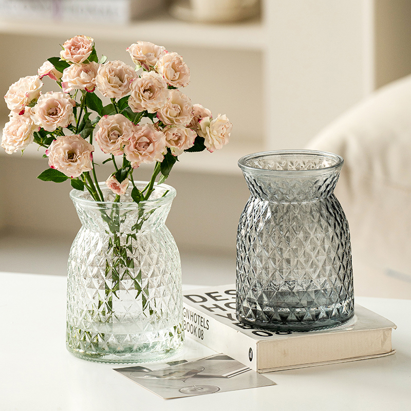 高级感网红花瓶摆件客厅极冻ins风玻璃透明大口水养插花居家装饰