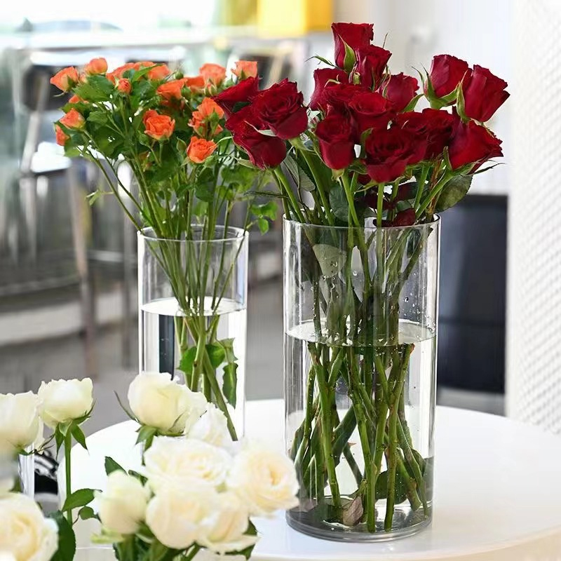透明花瓶简约风格摆放桌面鲜花瓶富贵竹PET材质花店用品居家装饰