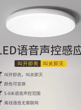 全光谱护眼LED智能语音吸顶灯无需连网语音控制可定时三防吸顶灯