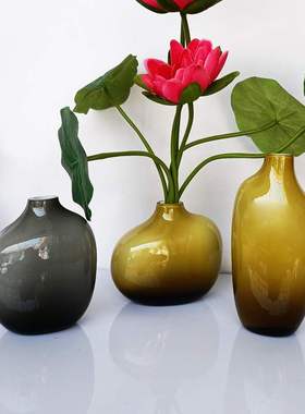 新款北欧清新轻奢小花瓶家装摆件装饰复古鲜花玻璃瓶简约插花花器