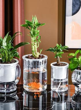 塑料水培水植物花瓶居家装饰蝴蝶兰绿萝盆桌面小尺寸种植盆多肉盆