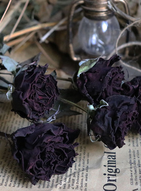 云南黑玫瑰干花花束黑魔术天然真花永生花家居装饰拍照道具插花