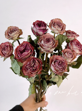 云南天然玫瑰干花真花花束卡布奇诺客厅家居桌面插花装饰摆件送人